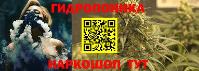 mdpv Лесосибирск
