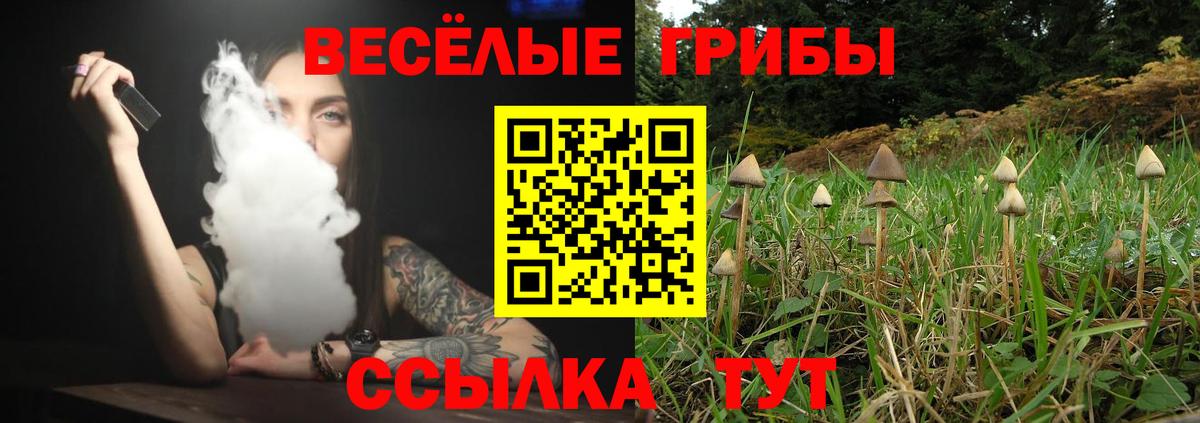 Псилоцибиновые грибы Magic Shrooms Альметьевск